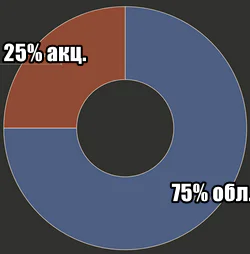 25 на 75 акции и облигации 2025-07-092208.webp